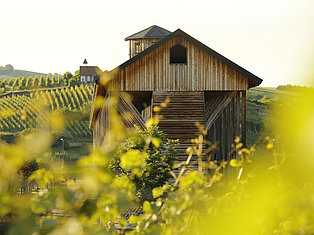 Deutsche Weinstraße Bad Dürkheim Gradierbau 