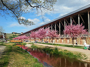 Saline Mandel Stadtverwaltung Bad Dürkheim